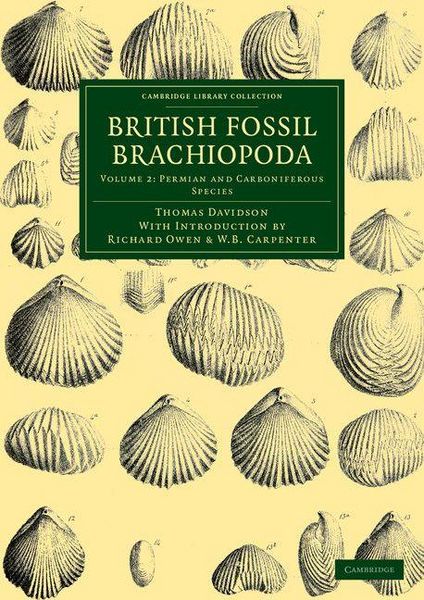 Produktbild: British Fossil Brachiopoda - Volume 2
