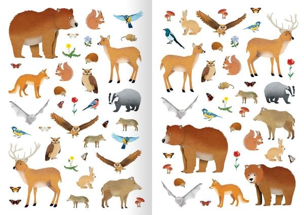 Produktbild: Mein Natur-Stickerbuch