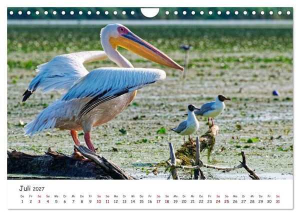 Produktbild: Donau-Delta (Wandkalender 2027 DIN A4 quer), CALVENDO Monatskalender