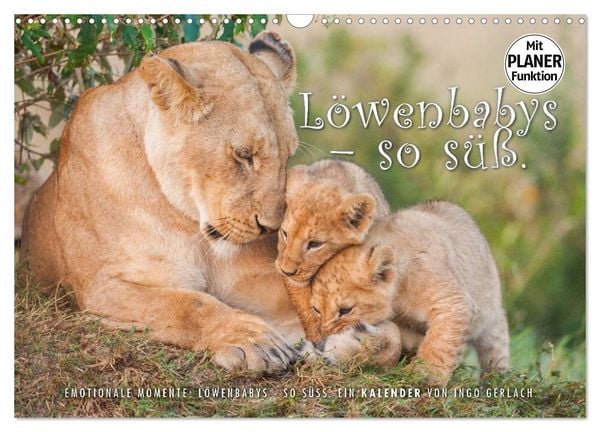 Produktbild: Emotionale Momente: L&ouml;wenbabys - so s&uuml;&szlig;. (Wandkalender 2026 DIN A3 quer), CALVENDO Monatskalender