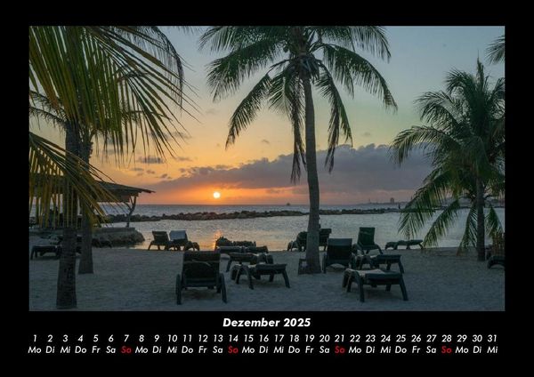 Produktbild: Palmentraum 2025 Fotokalender DIN A3