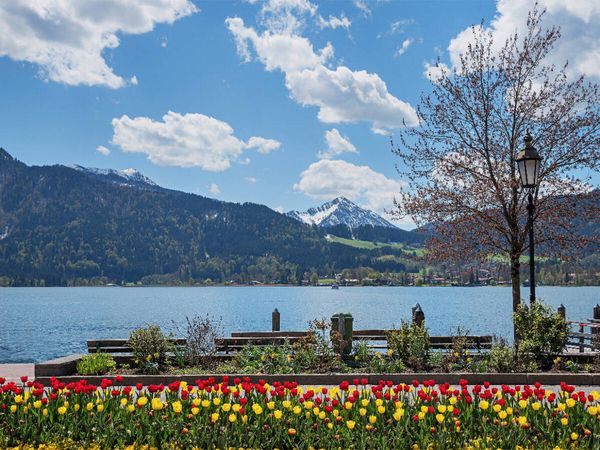 Produktbild: CALVENDO Puzzle Fr&uuml;hlingshaftes Seeufer am Kurort Tegernsee | 1000 Teile Lege-Gr&ouml;&szlig;e 64x48cm Foto-Puzzle f&uuml;r gl&uuml;ckliche Stunden