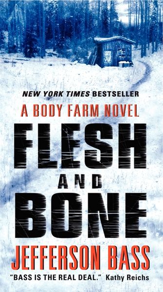 Produktbild: Flesh and Bone