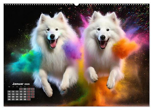 Produktbild: Holi Pulver - Doppelte Action (hochwertiger Premium Wandkalender 2026 DIN A2 quer), Kunstdruck in Hochglanz