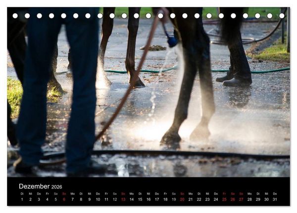 Produktbild: Faszination Galopprennen in Baden-Baden (Tischkalender 2026 DIN A5 quer), CALVENDO Monatskalender