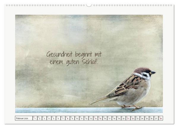 Produktbild: Irische Segensw&uuml;nsche (Wandkalender 2026 DIN A2 quer), CALVENDO Monatskalender