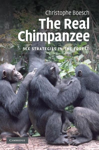 Produktbild: Real Chimpanzee