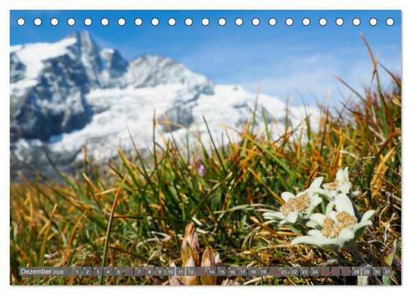 Produktbild: Flora der Alpen (Tischkalender 2026 DIN A5 quer), CALVENDO Monatskalender