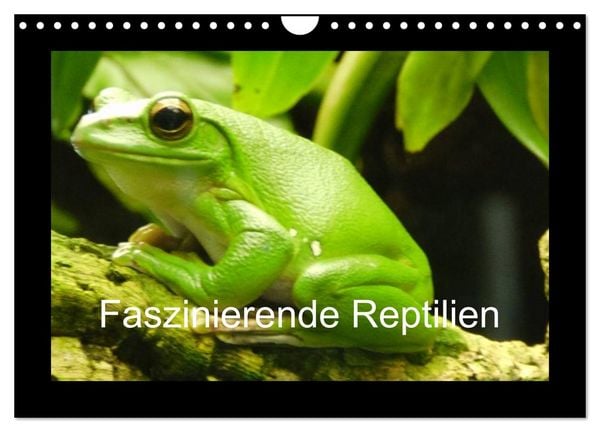 Produktbild: Faszinierende Reptilien (Wandkalender 2026 DIN A4 quer), CALVENDO Monatskalender