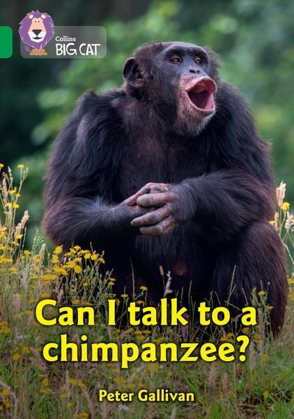 Produktbild: Can I talk to a chimpanzee?