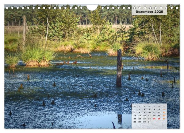 Produktbild: Niedersachsens Moorlandschaften - Das Pietzmoor, Schneverdingen (Wandkalender 2026 DIN A4 quer), CALVENDO Monatskalender