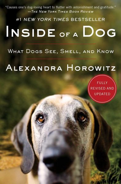 Produktbild: Inside of a Dog