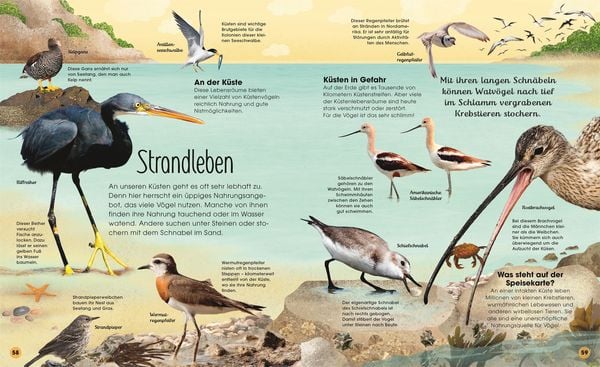 Produktbild: Die schillernde Welt der V&ouml;gel
