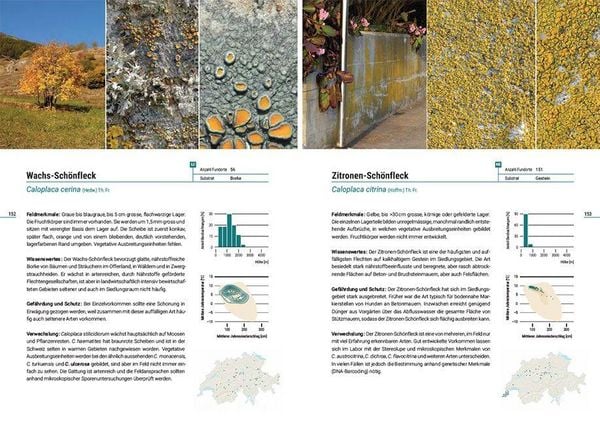 Produktbild: Flechten der Schweiz