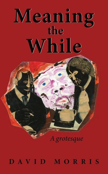 Produktbild: Meaning The While