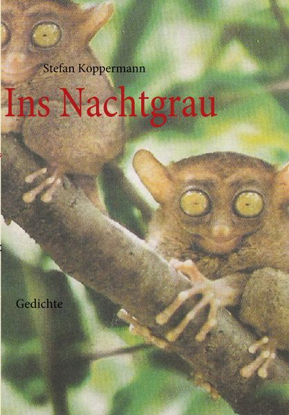 Ins Nachtgrau, Taschenbuch von Stefan Koppermann, BoD – Books on Demand, 9783837044362