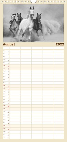 Produktbild: Familienplaner Arabische Pferde (Wandkalender 2022 , 21 cm x 45 cm, hoch)