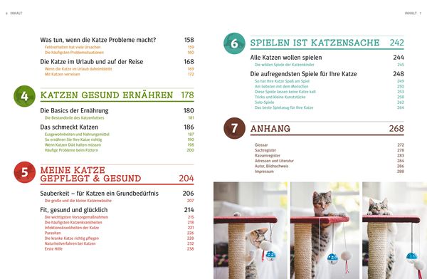 Produktbild: Praxishandbuch Katzen