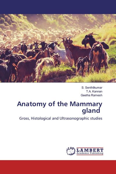 Produktbild: Anatomy of the Mammary gland