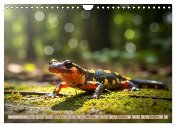 Produktbild: Gruseltiere (Wandkalender 2027 DIN A4 quer), CALVENDO Monatskalender