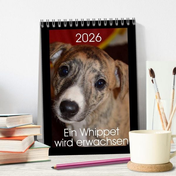 Produktbild: Ein Whippet wird erwachsen (Tischkalender 2026 DIN A5 hoch), CALVENDO Monatskalender