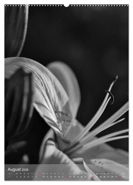 Produktbild: Monochrome Bl&uuml;ten - In Schwarz-Wei&szlig; Bildern durch das Jahr (Wandkalender 2026 DIN A2 hoch), CALVENDO Monatskalender