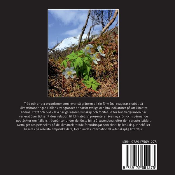 Produktbild: Tr&auml;dgr&auml;nsen