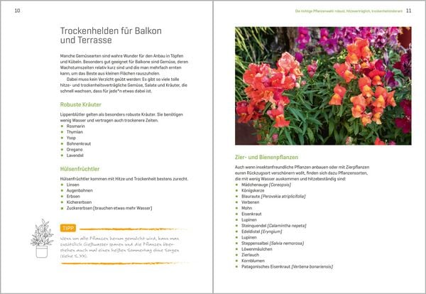 Produktbild: Balkong&auml;rtnern im Klimawandel