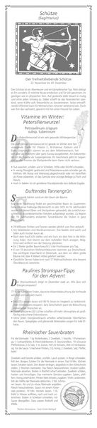 Produktbild: Paulines Küchenplaner 2026 - Streifenplaner - Wandplaner - Küchen-Kalender - 11,3x49,5