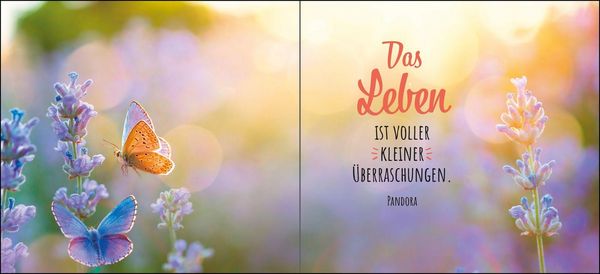 Produktbild: Ich schenke dir ein St&uuml;ck vom Gl&uuml;ck