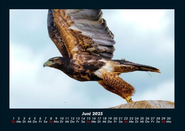 Produktbild: Vogelparadies 2025 Fotokalender DIN A4