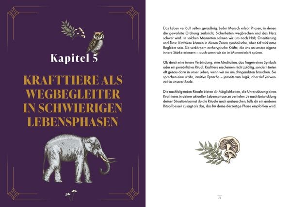 Produktbild: Krafttiere &ndash; Gef&auml;hrten der Seele