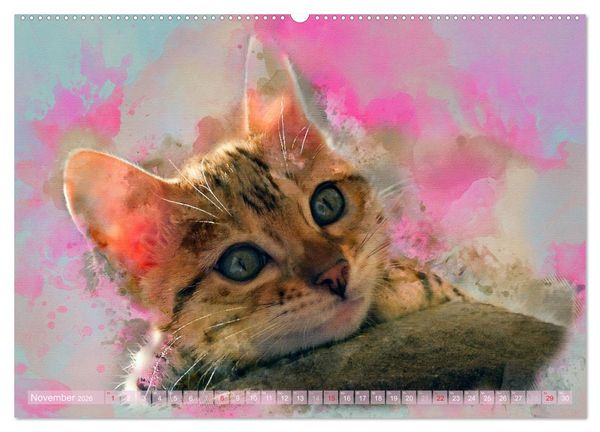 Produktbild: Katzenkalender mausgemalt (hochwertiger Premium Wandkalender 2026 DIN A2 quer), Kunstdruck in Hochglanz