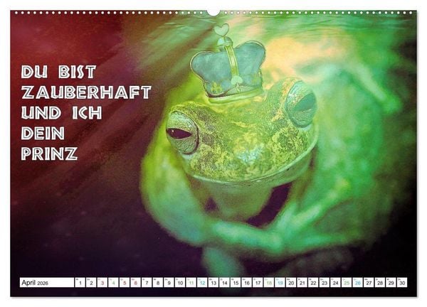 Produktbild: Frosch quakt Spr&uuml;che (hochwertiger Premium Wandkalender 2026 DIN A2 quer), Kunstdruck in Hochglanz