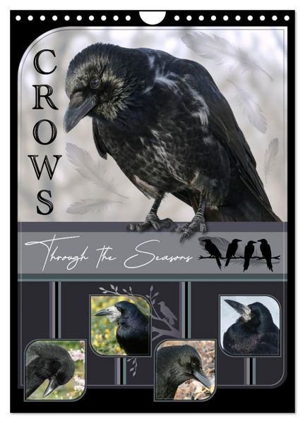 Produktbild: Crows - Through the Seasons (Wall Calendar 2026 DIN A4 portrait), CALVENDO 12 Month Wall Calendar