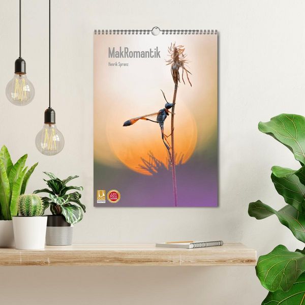Produktbild: MakRomantik (Wandkalender 2026 DIN A3 hoch), CALVENDO Monatskalender