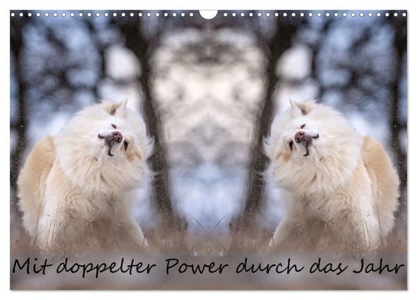 Produktbild: Mit doppelter Power durch das Jahr (Wandkalender 2026 DIN A3 quer), CALVENDO Monatskalender