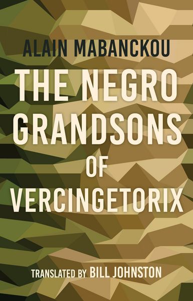 Produktbild: The Negro Grandsons of Vercingetorix