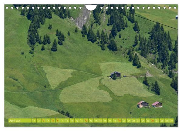 Produktbild: Ein Sommertag in Dam&uuml;ls (Wandkalender 2026 DIN A4 quer), CALVENDO Monatskalender