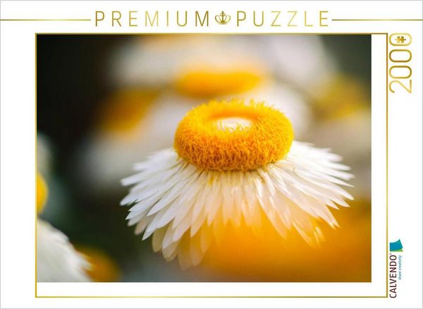 CALVENDO Puzzle White Orange | 2000 Teile Lege-Größe 90x67cm Foto-Puzzle für glückliche Stunden