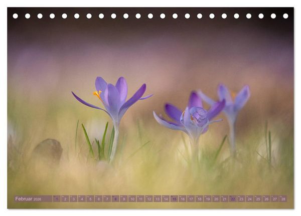 Produktbild: Natursch&ouml;nheiten - mit Bl&uuml;ten und Pflanzen durch das Jahr (Tischkalender 2026 DIN A5 quer), CALVENDO Monatskalender