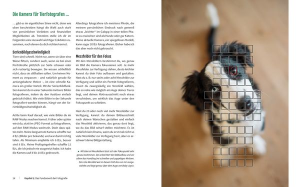 Produktbild: Haustiere perfekt fotografieren
