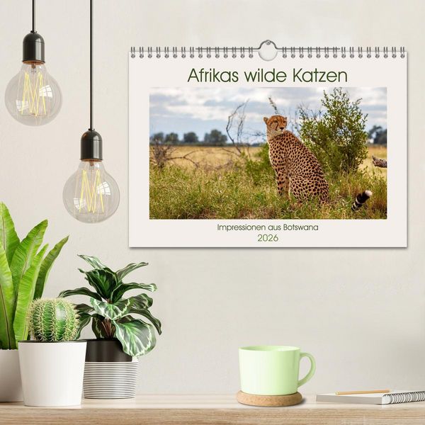 Produktbild: Afrikas wilde Katzen (Wandkalender 2026 DIN A4 quer), CALVENDO Monatskalender