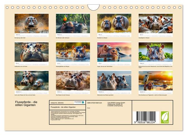 Produktbild: Flusspferde - die stillen Giganten (Wandkalender 2026 DIN A4 quer), CALVENDO Monatskalender