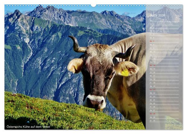 Produktbild: Alpen&uuml;berquerung (hochwertiger Premium Wandkalender 2026 DIN A2 quer), Kunstdruck in Hochglanz