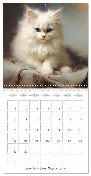 Produktbild: Illustrations Chatons (Calendrier mural carr&eacute; 2026 30x30 cm) Calendrier double avec une page pour vos prises de notes