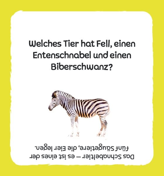 Produktbild: Kartenbox: Das gro&szlig;e Quiz &ndash; Tiere