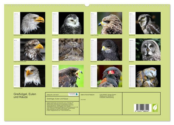 Produktbild: Greifv&ouml;gel, Eulen und K&auml;uze (hochwertiger Premium Wandkalender 2026 DIN A2 quer), Kunstdruck in Hochglanz
