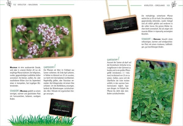 Produktbild: Die 100 besten Pflanzen f&uuml;r V&ouml;gel, Bienen, Schmetterlinge