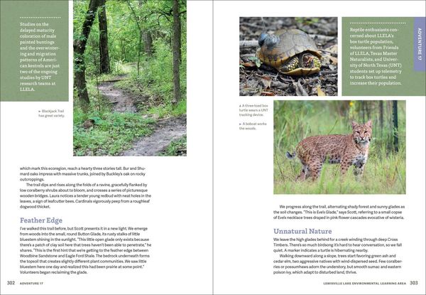 Produktbild: Wild Dfw